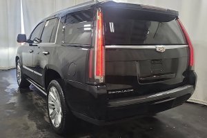 2020 Cadillac Escalade PLATINUM